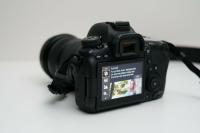 Canon EOS 6D Mark II with 24-105mm IS STM Lens