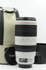 Canon 100-400mm IS ll Lens with extender